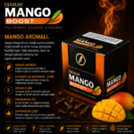 DJARUM MANGO BOOST