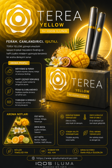YELLOW IQOS ERMENİSTAN TEREA 1 KARTON 200 STİCK