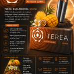 AMBER IQOS ILUMA ERMENİSTAN TEREA 1 KARTON 200 STİCK