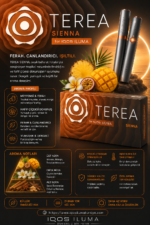 AMBER IQOS ILUMA ERMENİSTAN TEREA 1 KARTON 200 STİCK